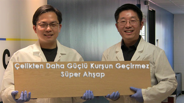 Çelikten Daha Güçlü Kurşun Geçirmez Süper Ahşap 21 Çelikten Daha Güçlü Kurşun Geçirmez Süper Ahşap