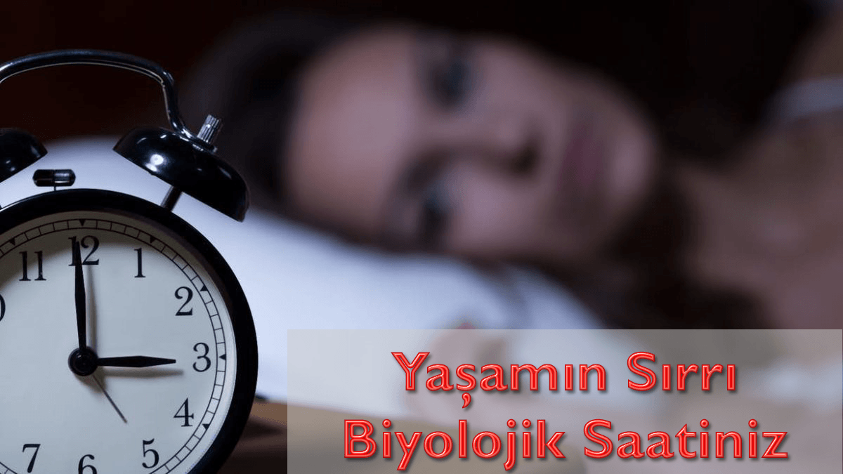 Yaşamın Sırrı Biyolojik Saatiniz