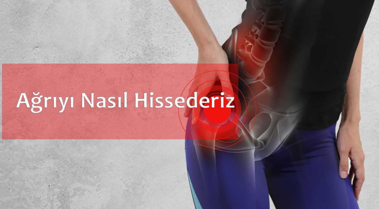 Ağrıyı Nasıl Hissederiz