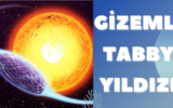 Gizemli Tabby Yıldızı 6 Gizemli Tabby Yıldızı