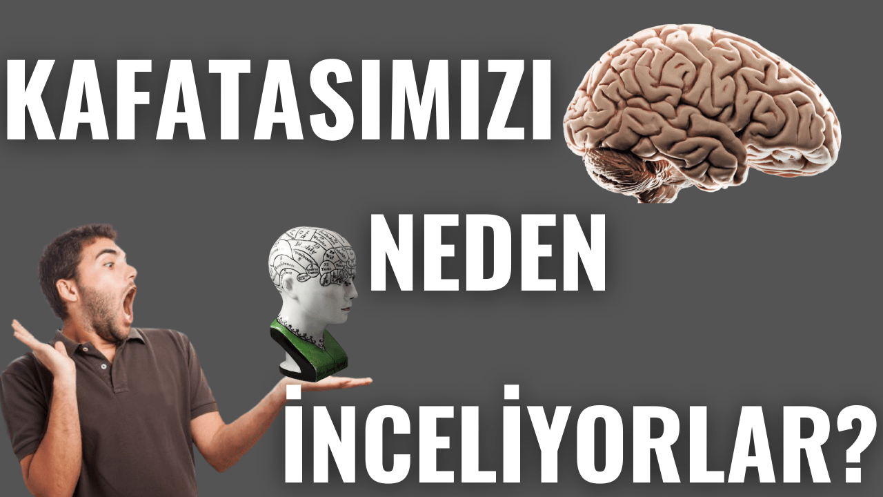Frenoloji Karakterimiz Kafatası Şeklimizde mi Gizli