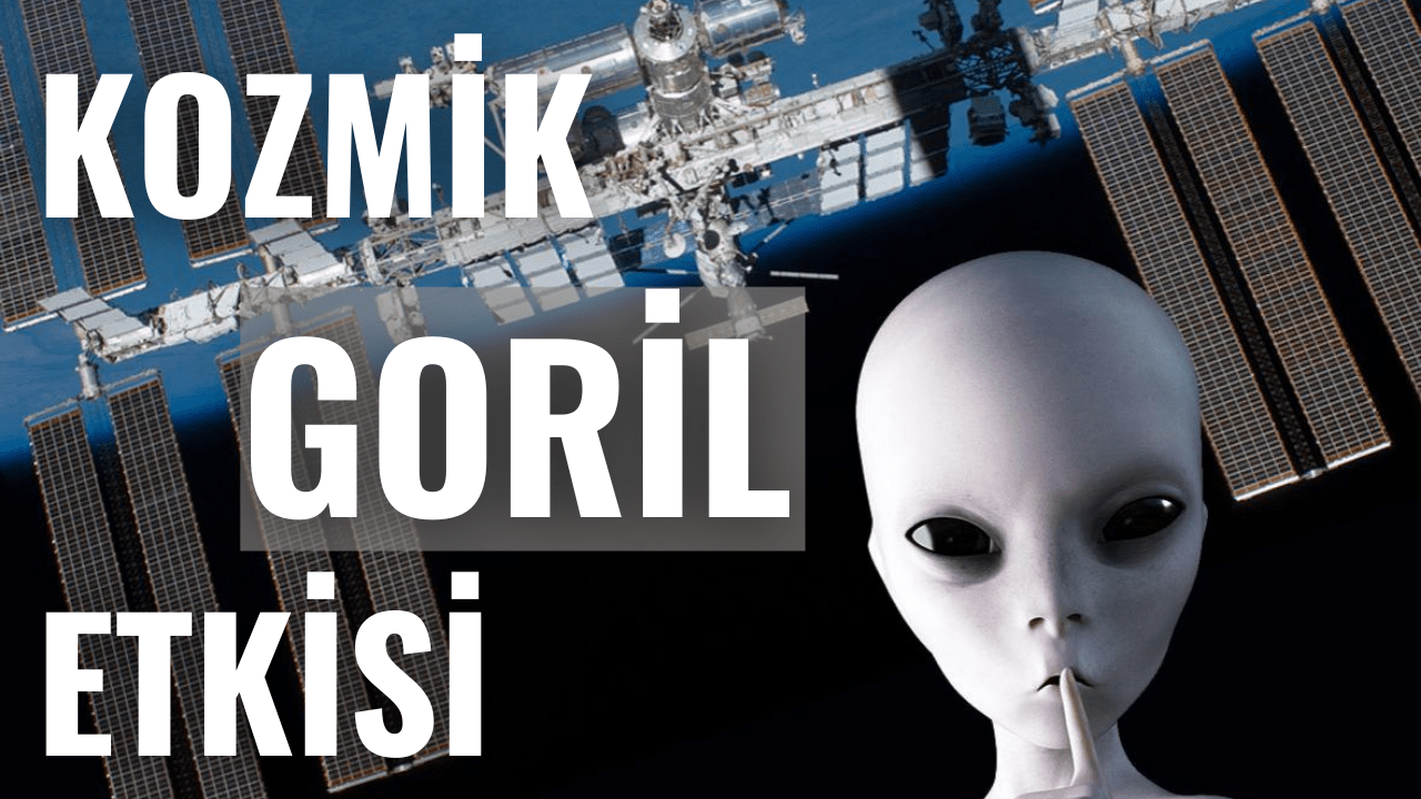 Kozmik Goril Etkisi - Uzaylıları Görmüyor Olabiliriz 5 Kozmik Goril Etkisi - Uzaylıları Görmüyor Olabiliriz