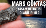Mars Göktaşı ALH84001 6 Mars Göktaşı ALH84001