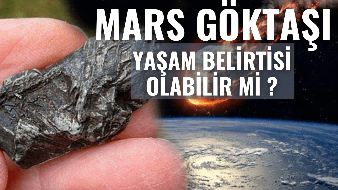 Mars Göktaşı ALH84001 3 Mars Göktaşı ALH84001