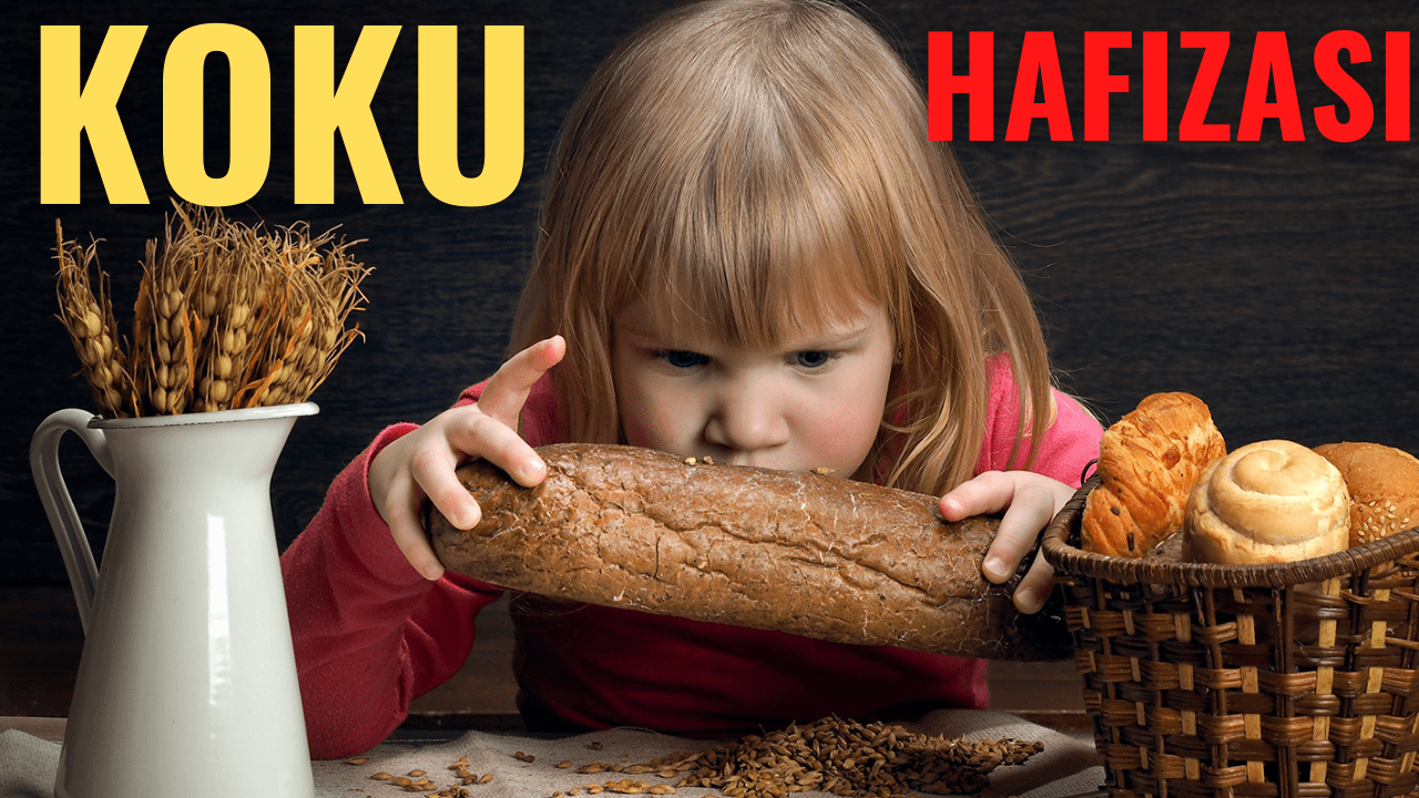 Geçmişe Yolculuk Koku Hafızası 3 Geçmişe Yolculuk Koku Hafızası