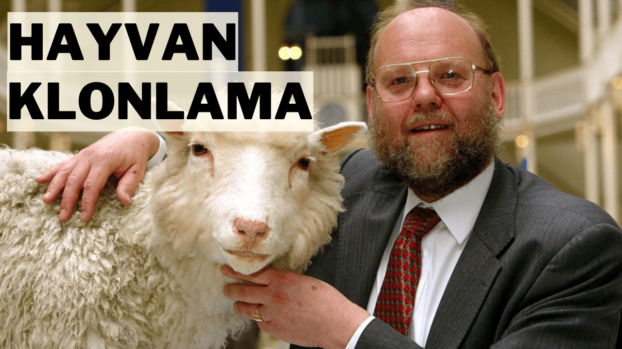 Hayvan Klonlama Gerçek mi ?