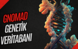 GnomAD Nedir ve Neden Genomik Araştırmalar İçin Önemlidir ?