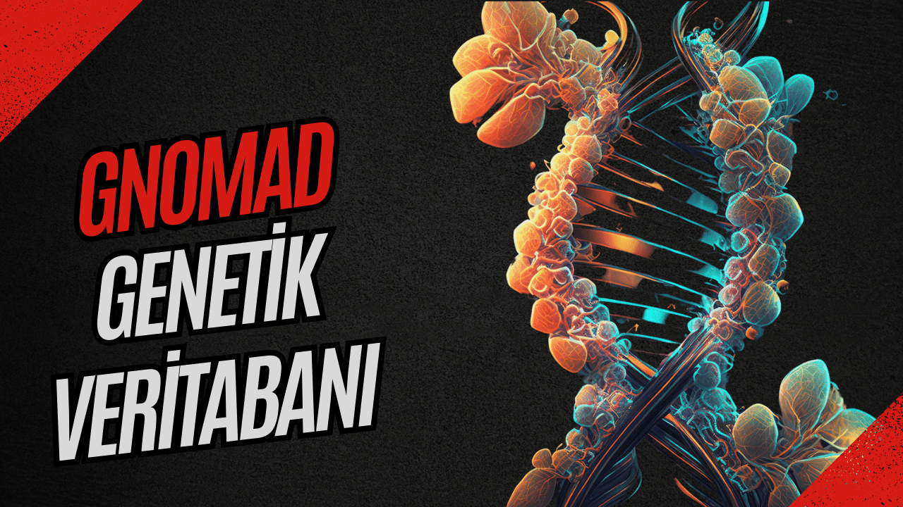 GnomAD Nedir ve Neden Genomik Araştırmalar İçin Önemlidir ?